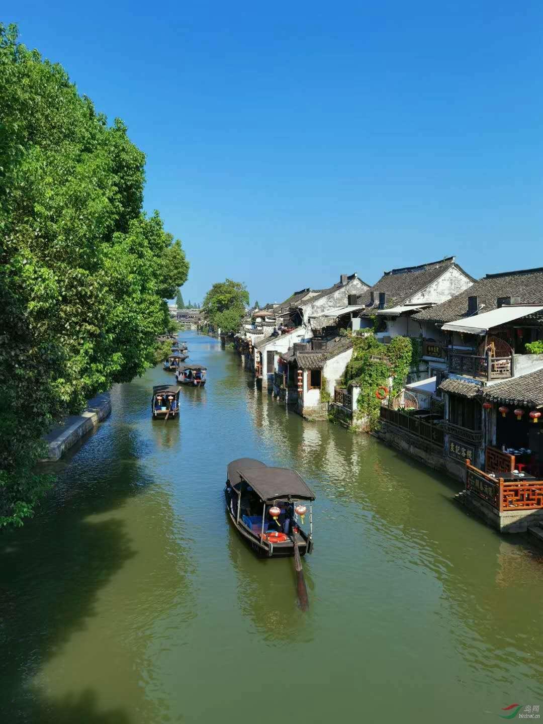 15岁学什么技术好-知识星球平台
